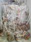 Industria de fabricaci�n de paletas de colores, chupetes, tweeps, caramelos y deliciosas golosinas.