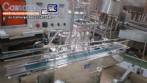 M�quina de llenado lineal de 4 boquillas Erli