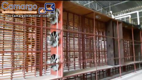 L�nea para fideos brasninho Braibanti