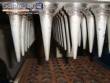 Fabricante de conos de helado para postres en forma de cono de 60 cavidades.