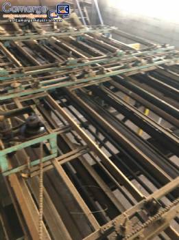 L�nea para el procesado de naranjas en formato layout de empacadora