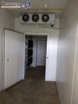 Ultra congelador Ultra congelador